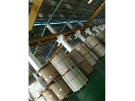 Prepainted galvanizde steel coils